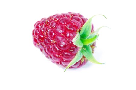 Framboise 