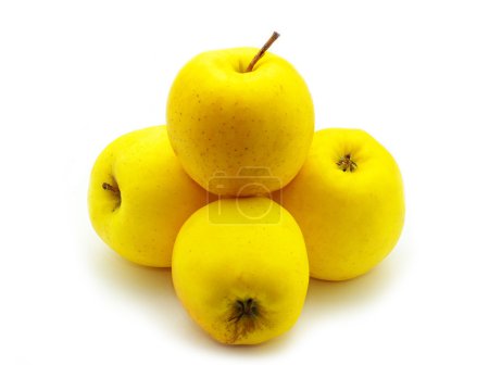 Pomme sur un blanc 