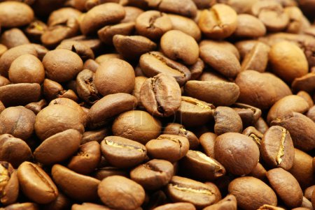 Grains de café 