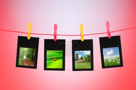 Photos de nature dans des cadres photo 