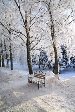 Paysage hivernal