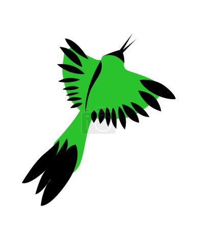 oiseau vert sur fond blanc 