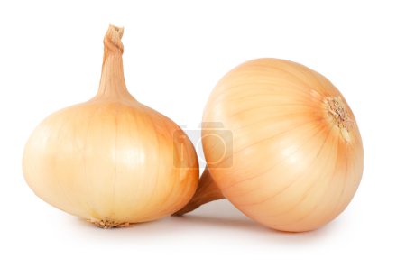Oignons frais 