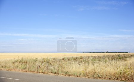 Route par le champ 