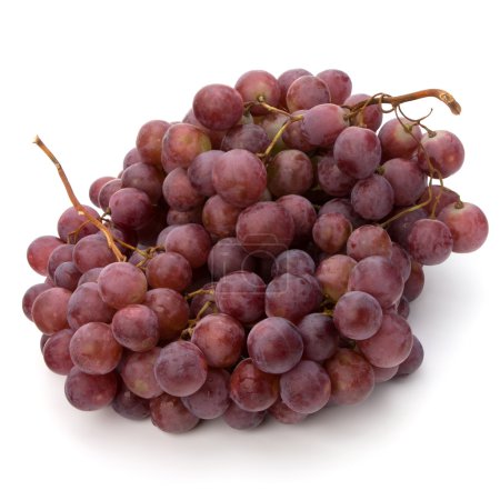 Raisin rouge 