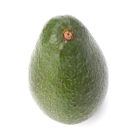 avocat isolé sur fond blanc