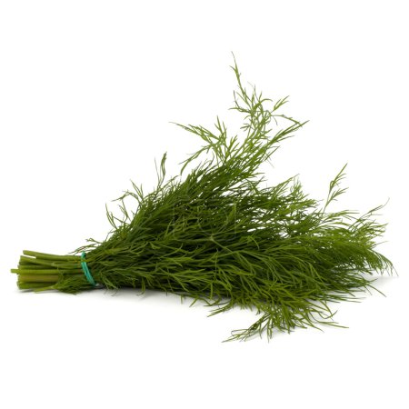 Dill.