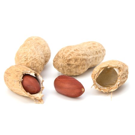 Cacahuète
