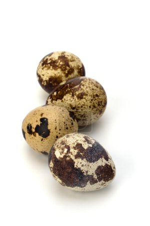 Oeufs de caille 