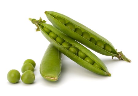 gousse de pois vert frais 