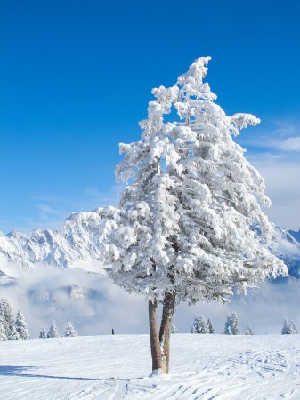 L'hiver dans les Alpes 