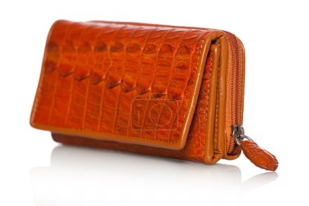 Sac à main en cuir crocodile 