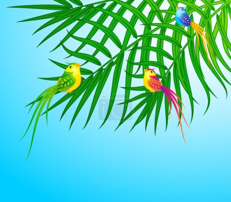 Beaux petits oiseaux 