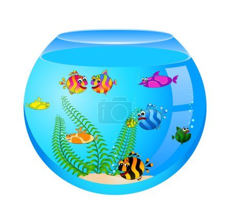 Petit poisson tropical coloré en aquarium 