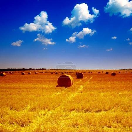 Haystack sur la prairie en été 