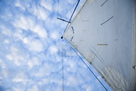 Clous up Voile 