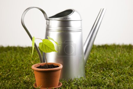 Arrosoir et jardin 
