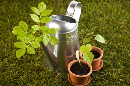 Concept d'outils de jardin