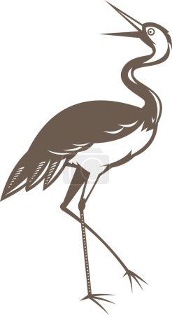 Grue levant les yeux 