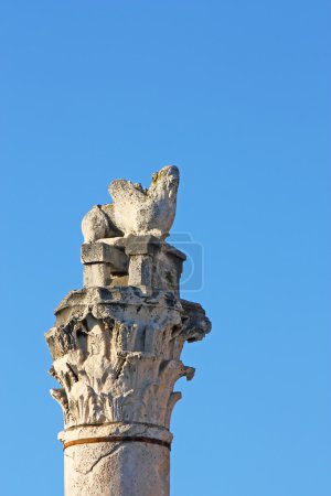 lion de Venise 