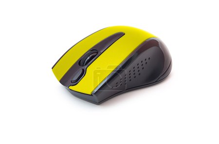 souris