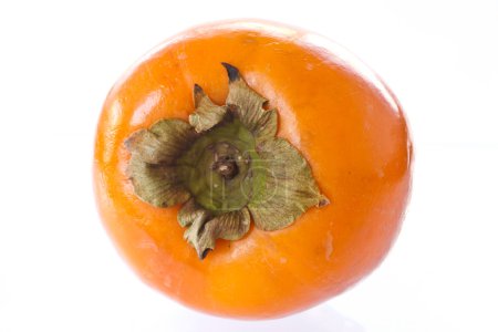 kaki