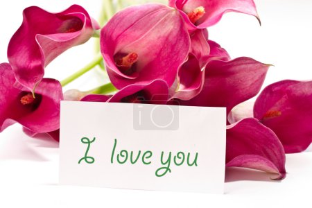Fleur rouge Calla 