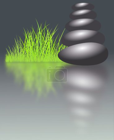 Pierres et herbe zen 