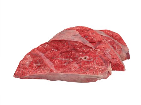 Poumon de vache tranché .