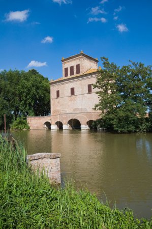 Tour d'Abate. Mesola. Emilie-Romagne. Italie .