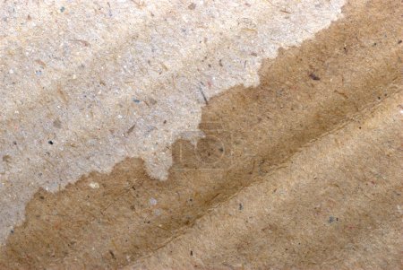 Texture en carton ondulé brun sec et humide 