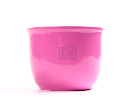 Pot de fleurs isolé 