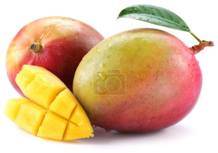 Mangue aux tranches 