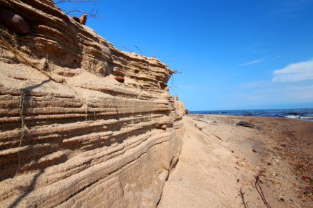 Paysage de la plage Michigan 