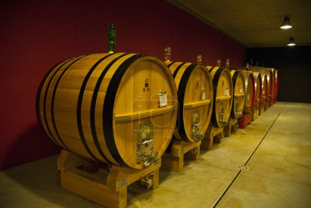Conteneur en bois pour vin 