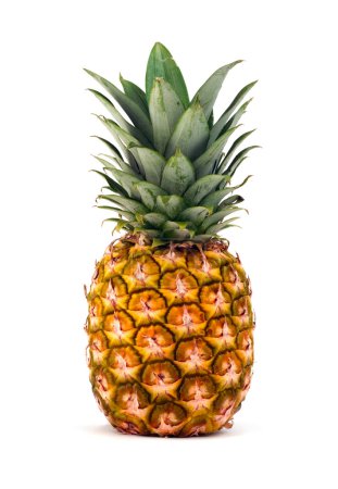 Ananas isolé 