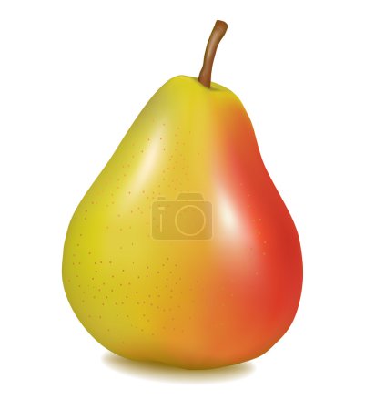 Poire jaune mûre à feuilles vertes. Illustration du vecteur 