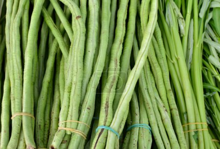 Légumes bruts 