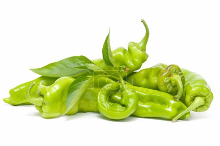Poivrons verts 