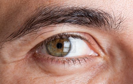 Macro shot de l'oeil vert de l'homme