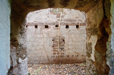 Une vieille forteresse dans la jungle 