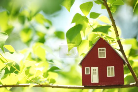 maison dans les arbres