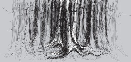 Forêt de bouleaux 