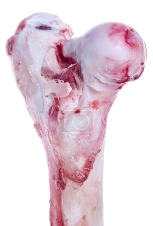 Os de viande 