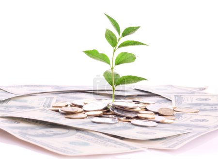 Pièces, dollars et plantes isolés sur fond blanc 