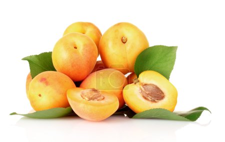 abricots avec feuilles isolées sur blanc 