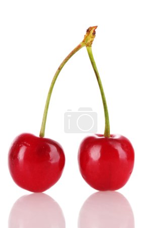 cerises isolées sur fond blanc