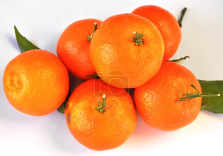 Fruits oranges 