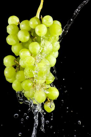 raisins
