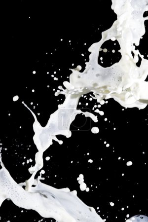 Lait